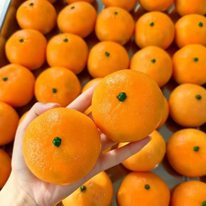 Orange Building
Blocks Crunchy