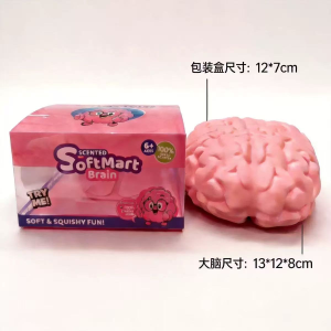 brain